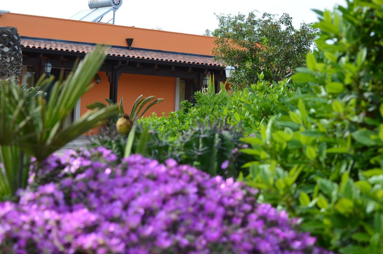 Relais La Giara ξενώνας Manduria Εξωτερικό φωτογραφία
